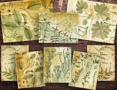 Botanical Junk Journal Printable 14 Vintage Scrapbooking Pages Plants