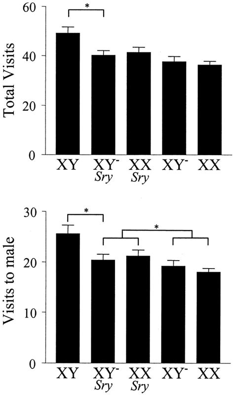 A Model System For Study Of Sex Chromosome Effects On Sexually