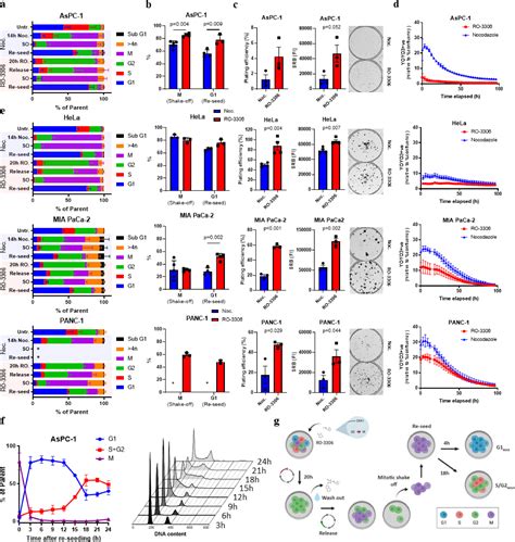 Quantifying Cell Cycle Dependent Drug Sensitivities In Cancer Using A