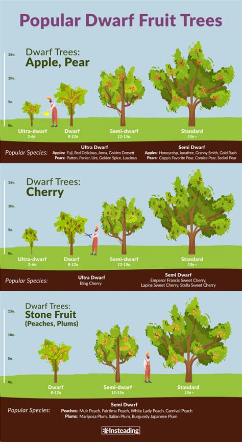 Dwarf Fruit Trees • Insteading
