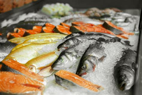 Pescados E Frutos Do Mar Comprar Fresco Ou Congelado