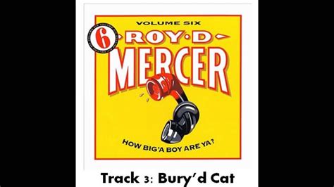 Roy D Mercer Volume 6 Track 3 Buryd Cat Youtube