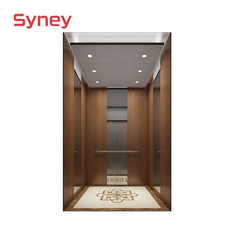 China Supplier Advanced Energy Saving Safety Home Lift Passenger