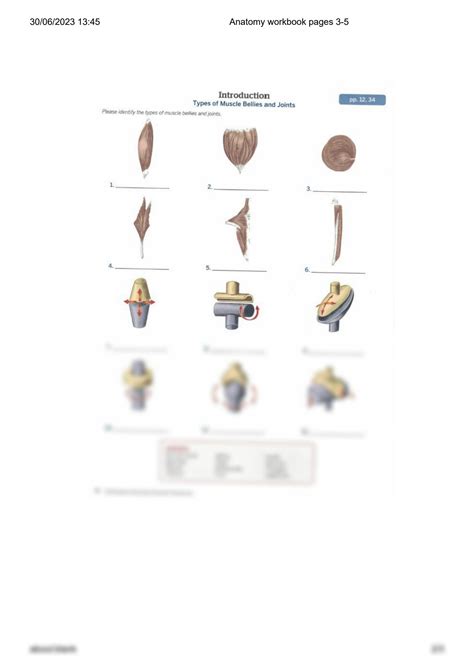 The Dog Anatomy Workbook A Learning Aid For Students 1