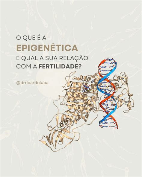 O Que A Epigen Tica E Qual A Sua Rela O A Fertilidade Dr