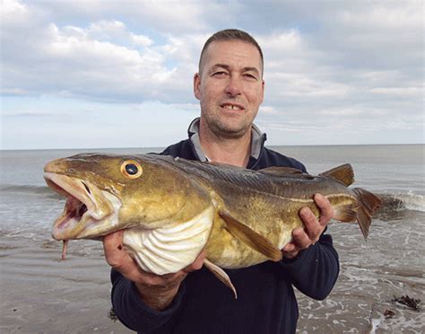 Beginners Guide To Cod Fishing From The Shore And Beach Seaangler