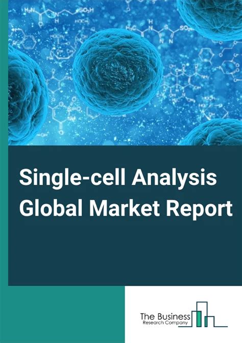 Single Cell Analysis Market Report 2024 Single Cell Analysis Industry