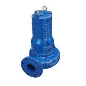 Pompe Rotor V Series Faggiolati Pumps Pour Eaux Us Es