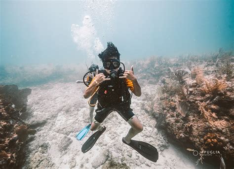 PADI Open Water Course In Playa Del Carmen AWA Scuba