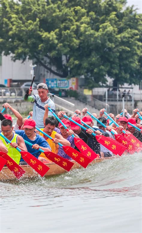 担凳仔、霸头位！就在6月17日，广州国际龙舟邀请赛等你来澎湃号·政务澎湃新闻 The Paper