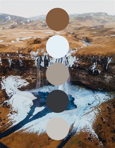 Get Color Palette Inspiration From Nature