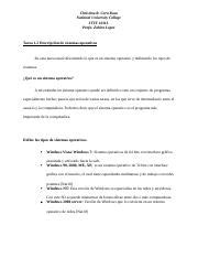 Tarea 1 2 ITTE 1011L Christina R Cora Rosa National University