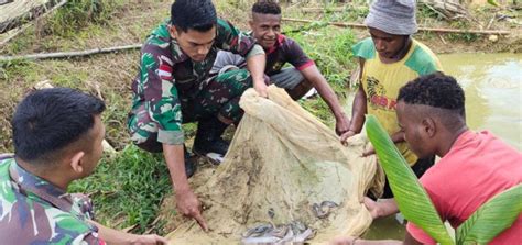 Satgas Yonif Berikan Penyuluhan Budidaya Ikan Lele Untuk Bantu Ketahanan Pangan Warga Perbatasan