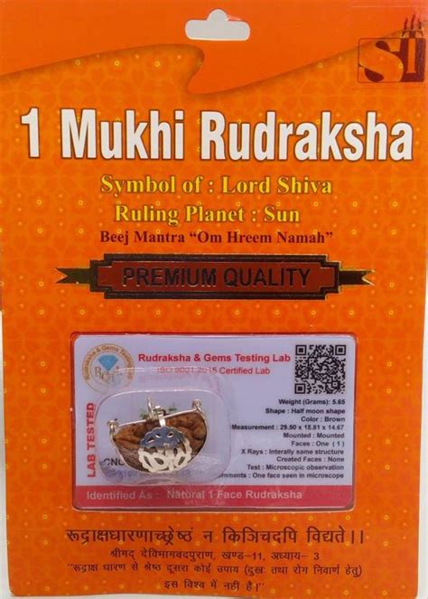 Genesys 100 Lab Certified 1 Mukhi Indian Half Moon Shape Rudraksha