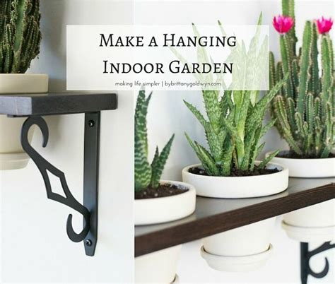 15 Beautiful DIY Ways To Hang Your Plants | Hometalk