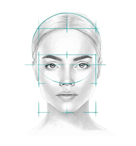 A Drawing Of A Woman S Face With The Lines Drawn To Show Her Height