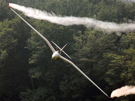 gull wing alchetron   social encyclopedia