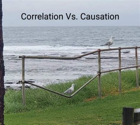 Correlation Vs Causation Gag