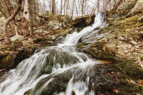 11 Epic Waterfalls in Shenandoah National Park-Family Guide - National Parks Mom