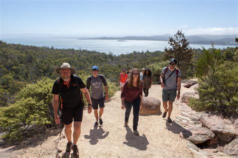 Wineglass Bay Beach Hike From Hobart Day Trip Tasmania Tours