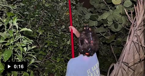 When You Need To Scratch Your Itchy Ass GAG