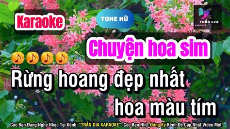 Chuy N Hoa Sim Karaoke Tone N Youtube