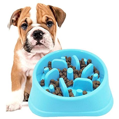 Slow Feeder Bowl, DotPet Fun Interactive Feeder Bloat Stop Dog Bowl
