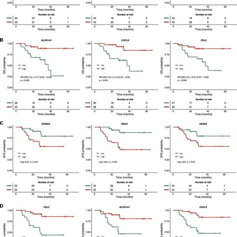 Overall And Disease Free Survival According To Gene Expression Profile Download Scientific