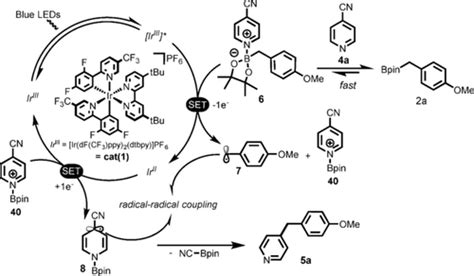 Visible Light Activation Of Boronic Esters Enables Efficient Photoredox