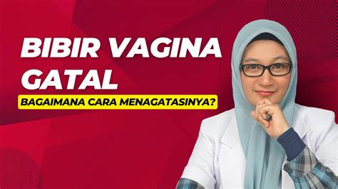 Cara Mengatasi Gatal Di Bibir Vagina Youtube