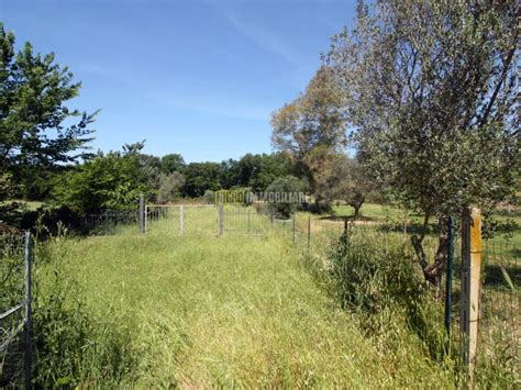 Terreno Agricolo Via Dei Casaletti 37 Cerveteri Rif 96832268