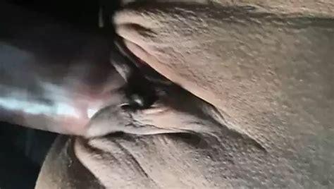 Car Pussy Show XHamster