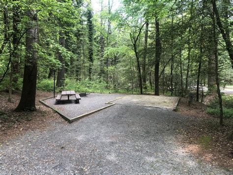 Site 47 Lake Rabun Beach Recreation Area