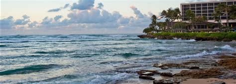 Turtle Beach | Oahu Hawaii