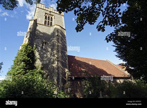 Natural History Museum Colchester Essex UK Stock Photo - Alamy