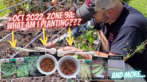 Planting Guide For Zone A In October Down Home Backyard Gardening