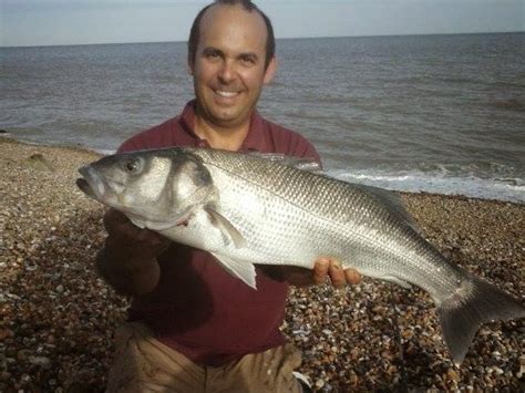 sussex sea angling  anglers den sussex shore caught bass