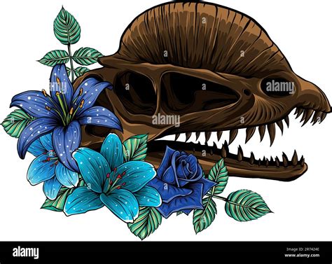 skull  dilophosaurus dinosaur vector illustration design stock vector