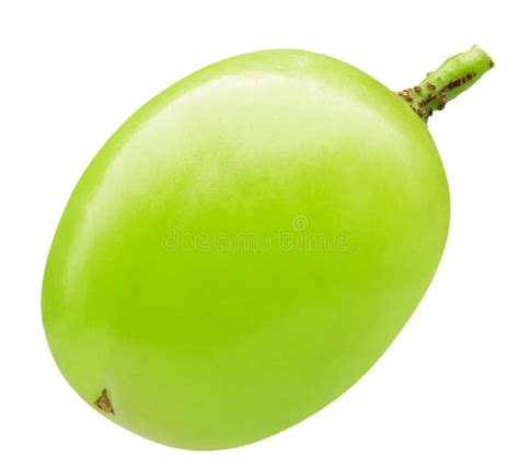 Single Green Grape Isolated On A White Background Stock Image Image