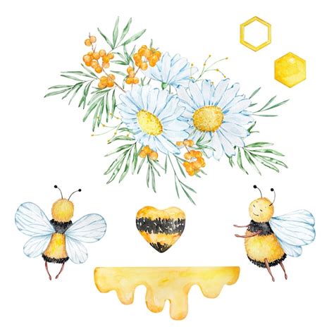 Set Aquarelle Nids D Abeilles Abeilles Et Bouquets De Camomille