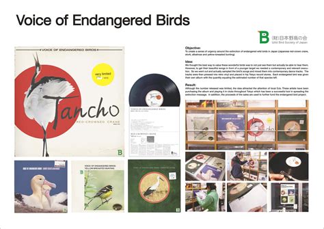 BIRD CONSERVATION MESSAGE | Campaign | THE WORK