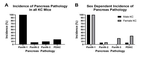 Sex Dependent Development Of Kras Induced Anal Squamous Cell Carcinoma