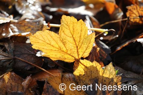 wolkenvelden en opklaringen meest droog op een spatje na maar wel meer