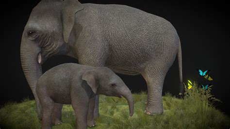 Asian Elephant 3d Model By Peternak 3d Peternak3d A76e115