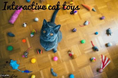 Interactive cat toys. Welcome to the world of interactive cat… | by ...