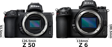 「z 50」と「z 6」の違い フォトスク