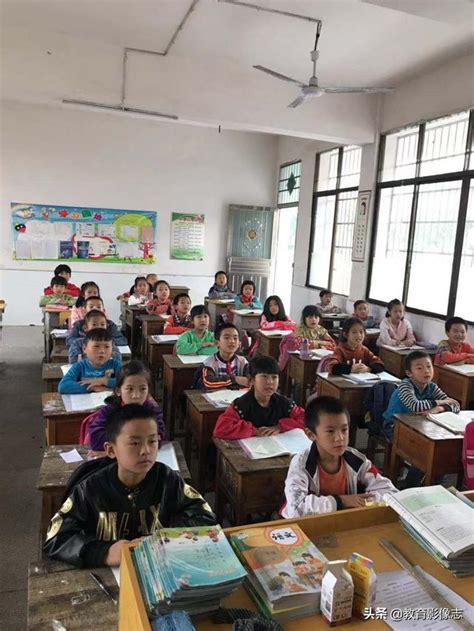 資陽區紫羅橋小學：研課磨課力助教師專業成長 每日頭條