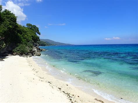 Perfect Place to Dive with Whale Sharks: Oslob Cebu Philippines