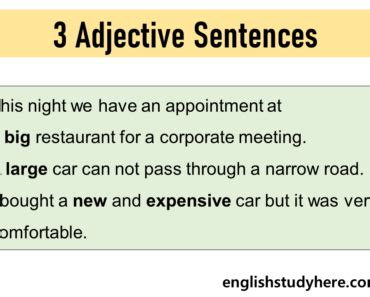 Adjectives Archives English Study Here