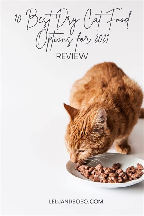 10 Best Dry Cat Food Options For 2021 Review Lelu And Bobo In 2023